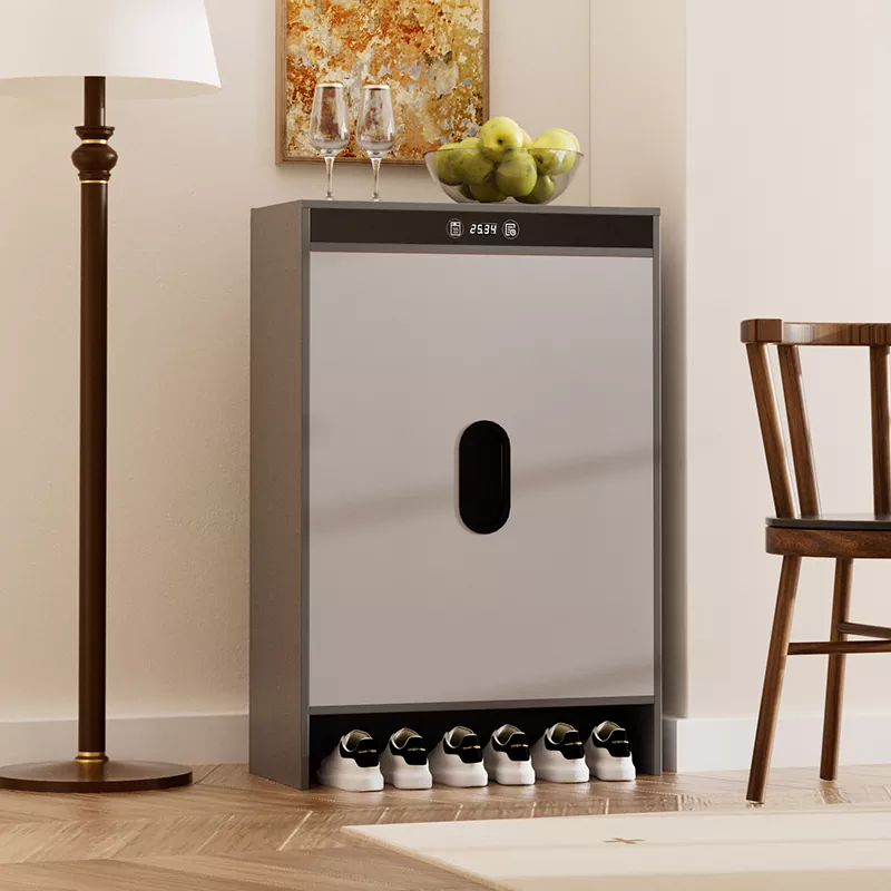 Qrafen Elektrikli İstilik Zamanında Qurutma Ayaqqabı Şkafı