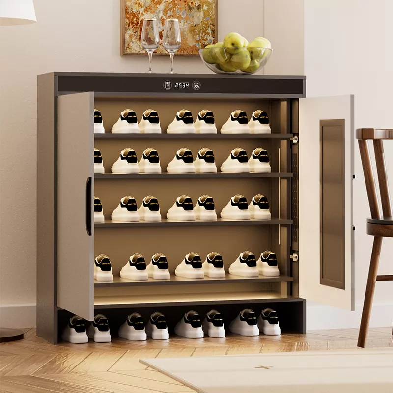 Qrafen Elektrikli İstilik Zamanında Qurutma Ayaqqabı Şkafı